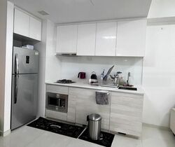 Bartley Residences (D19), Apartment #461487431